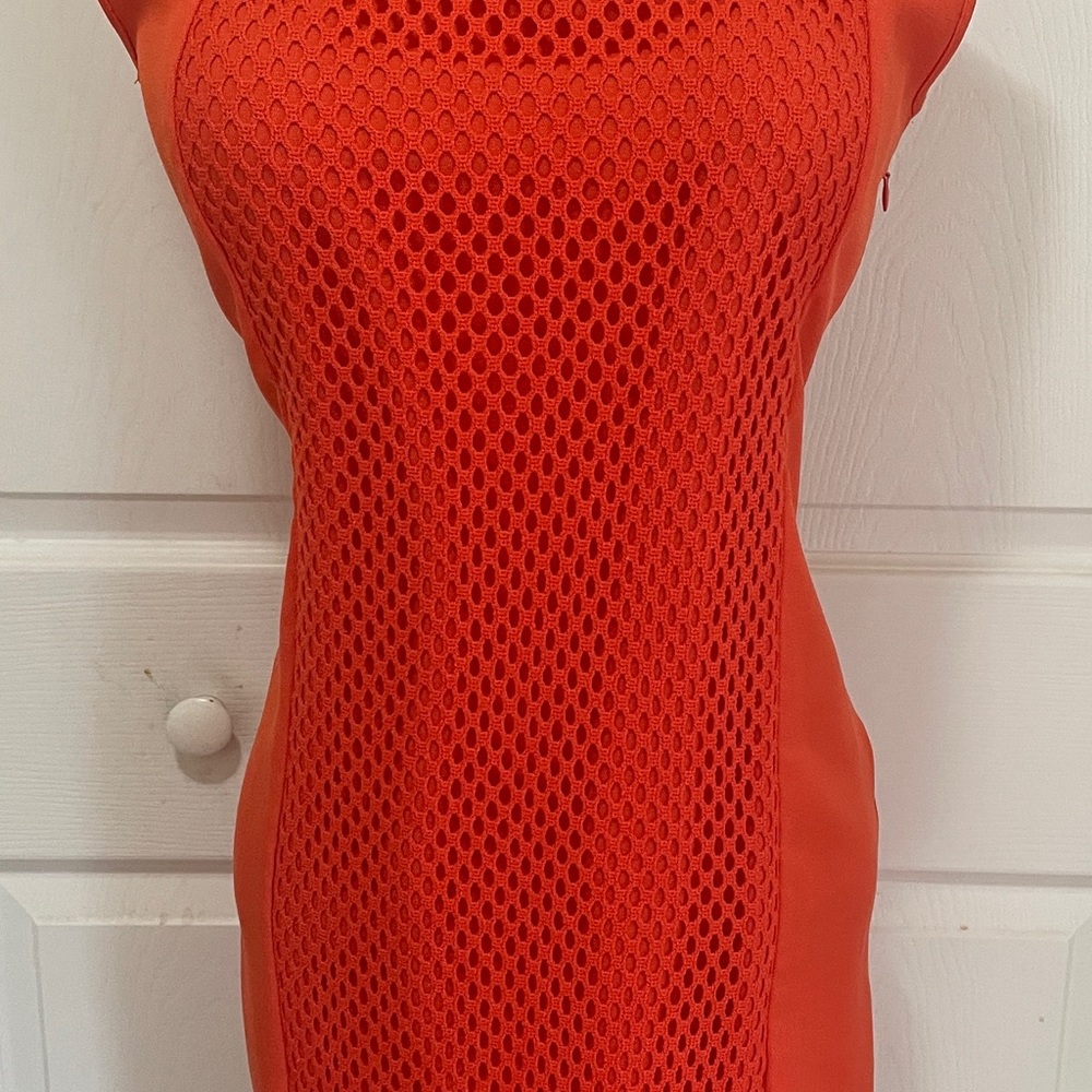 DR Collections Vibrant Orange Mesh Dress, Size 4